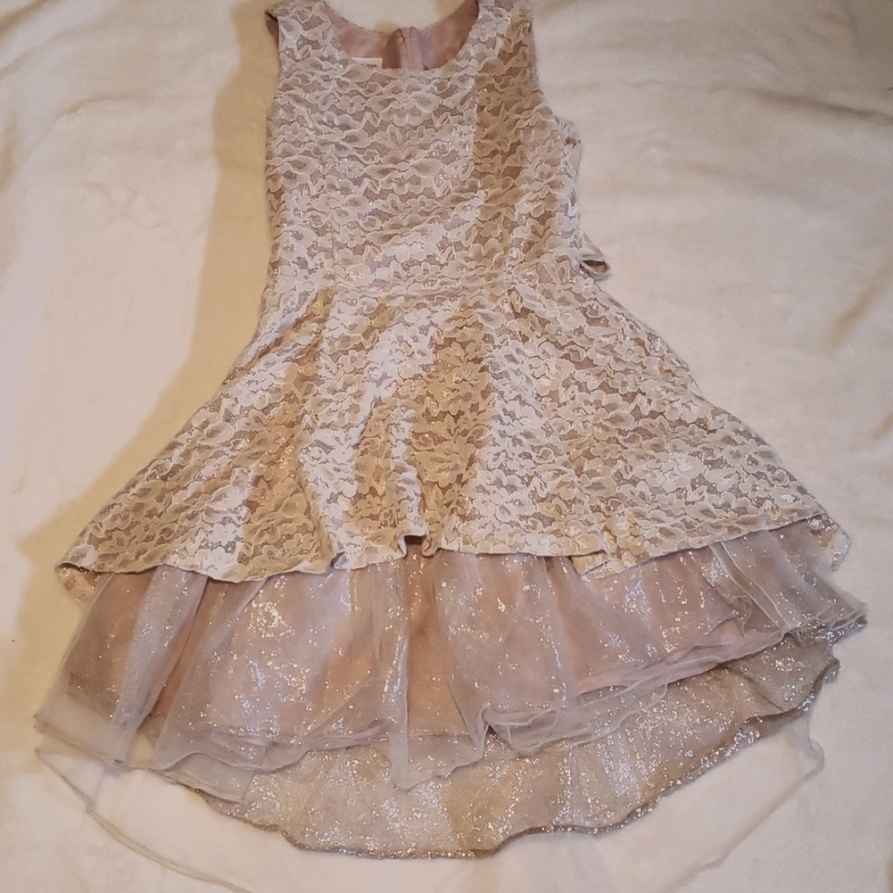 Rose Gold Dress